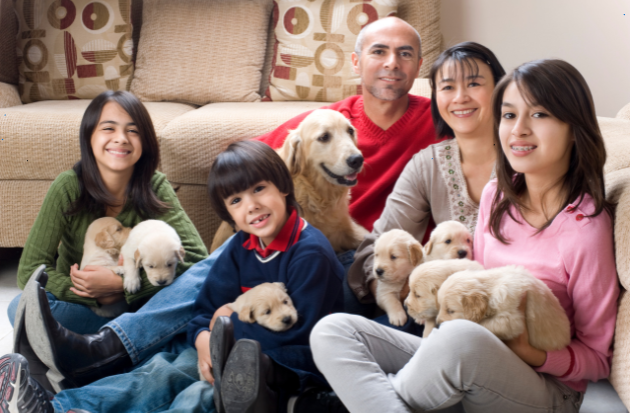 How to Prepare Your Pet for a Studio Family Photoshoot